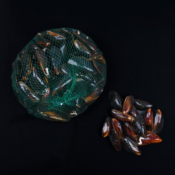 Læs om blåmuslinger og køb den online