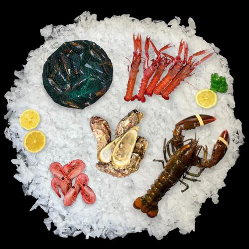 Alt indholdet i skaldyrskassen