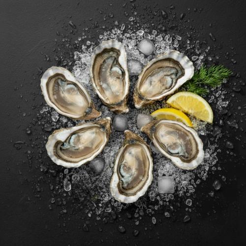 Køb friske østers online