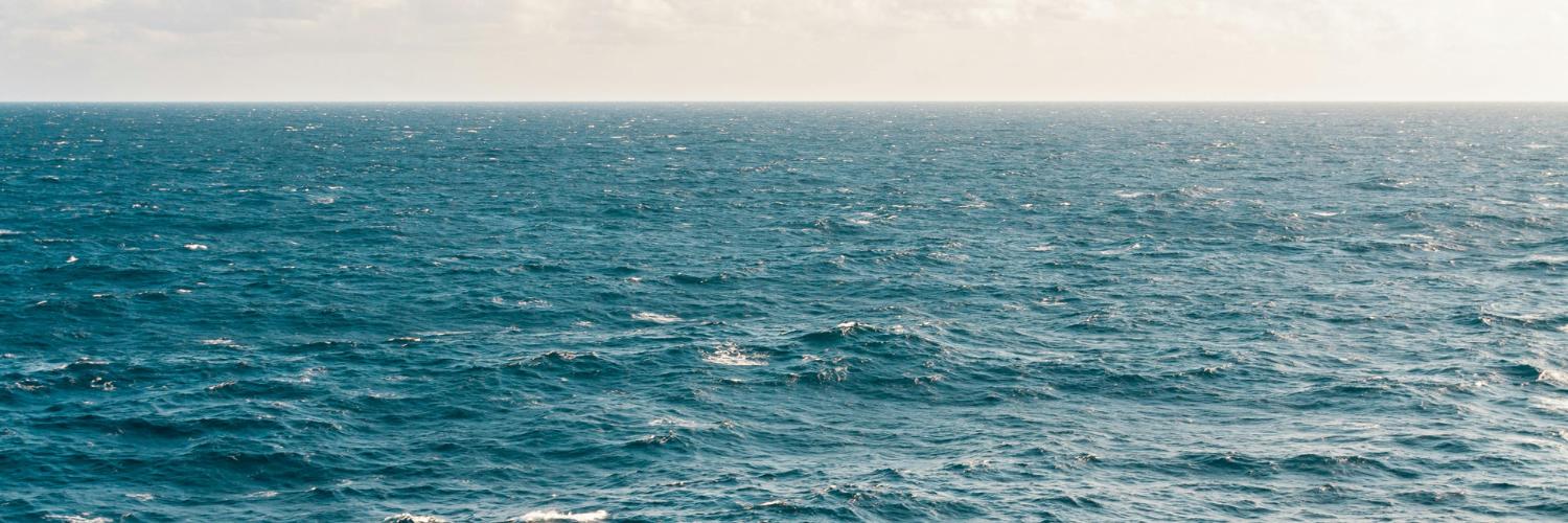 Køb fisk og skaldyr online