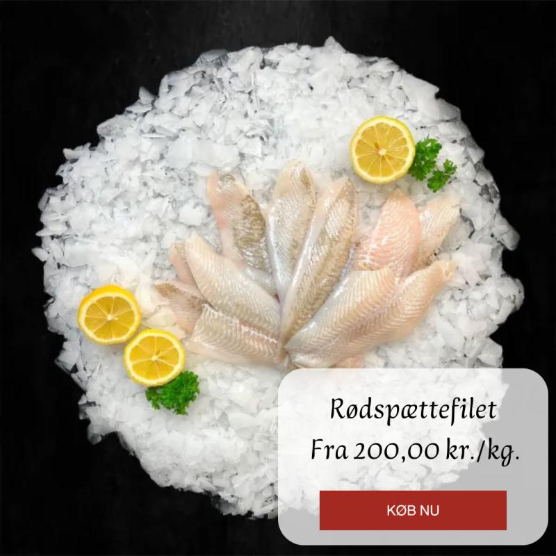 Kampagne på Hanstholm Fisk & Skaldyr