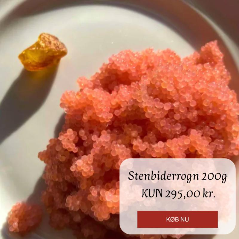 Kampagne på Hanstholm Fisk & Skaldyr