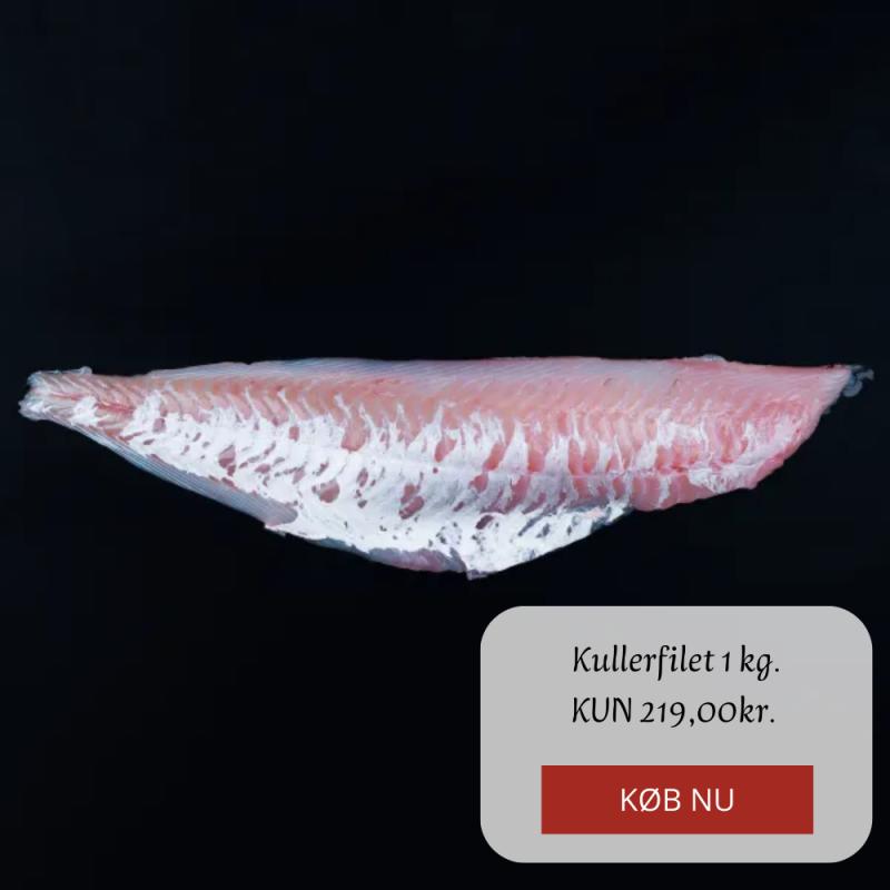 Kampagne på Hanstholm Fisk & Skaldyr
