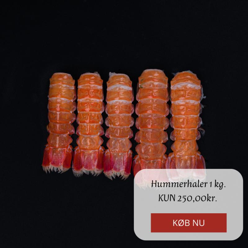 Kampagne på Hanstholm Fisk & Skaldyr