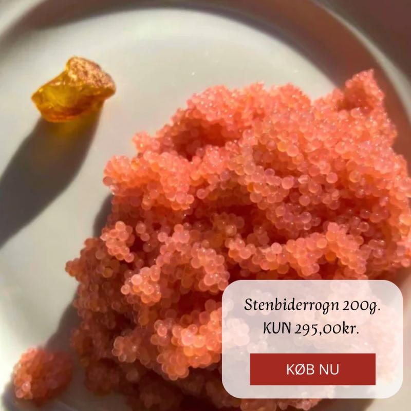 Kampagne på Hanstholm Fisk & Skaldyr