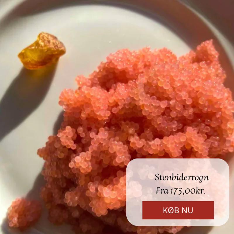 Kampagne på Hanstholm Fisk & Skaldyr