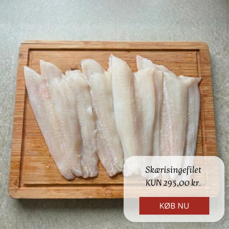 Kampagne på Hanstholm Fisk & Skaldyr