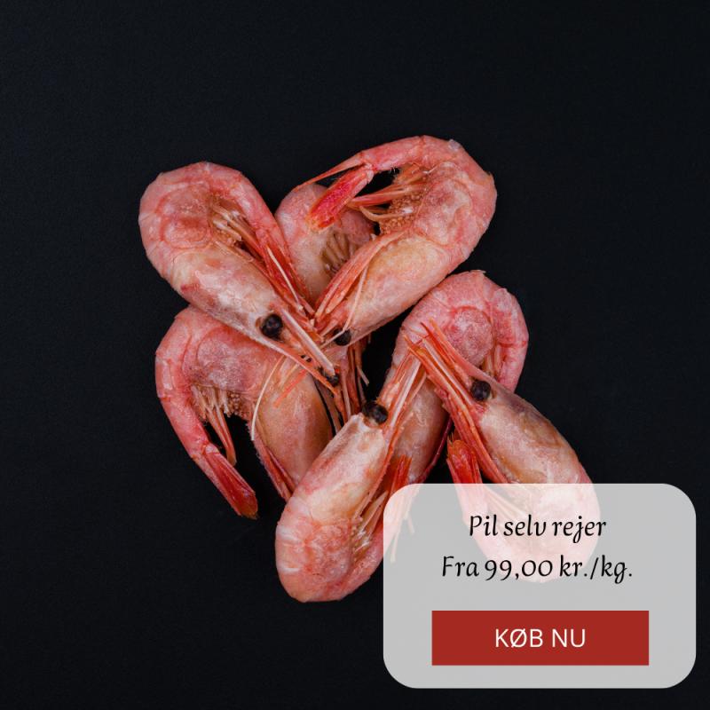 Kampagne på Hanstholm Fisk & Skaldyr