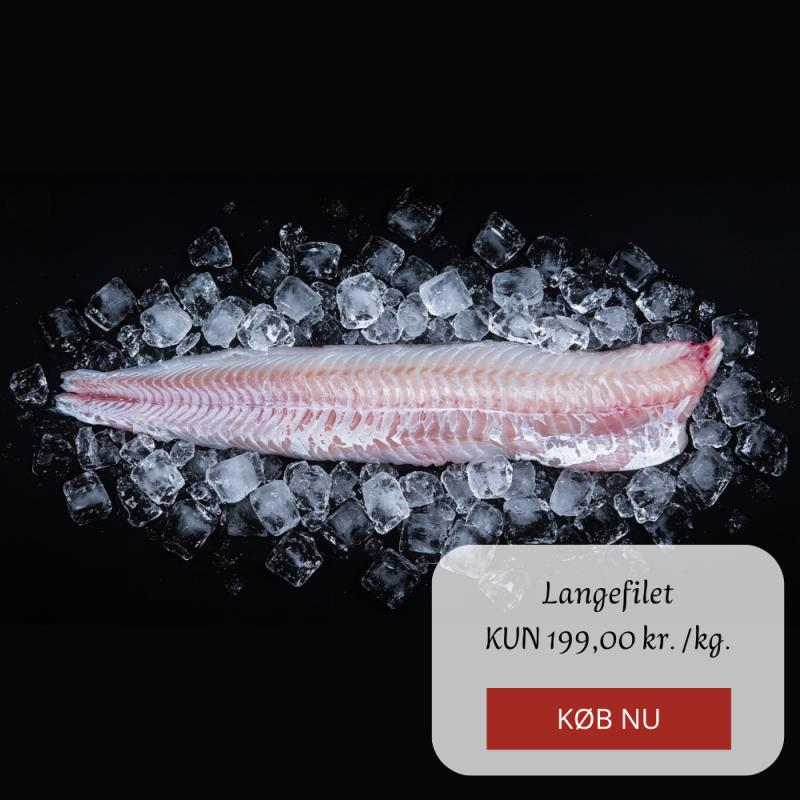 Kampagne på Hanstholm Fisk & Skaldyr