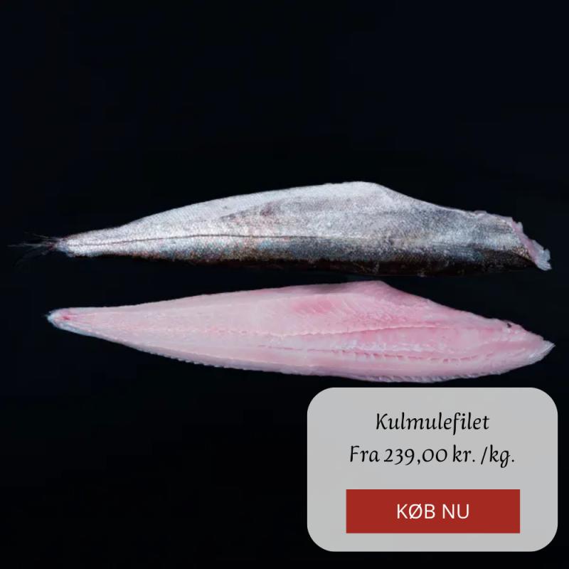 Kampagne på Hanstholm Fisk & Skaldyr