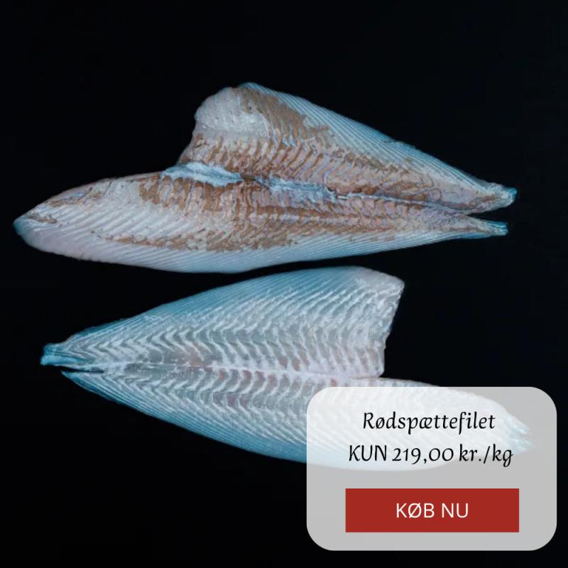 Kampagne på Hanstholm Fisk & Skaldyr